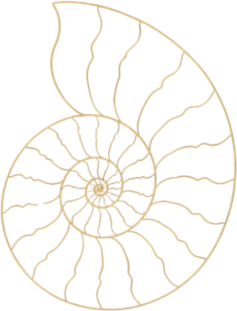Ammonite spiral line drawing, emblem of the MONAd discipline
